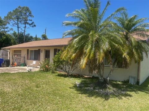 Photo of 3048 Unity Tree Drive, Edgewater, FL 32141 (MLS # NS1084559)