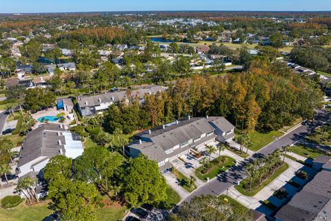 A home in TAMPA