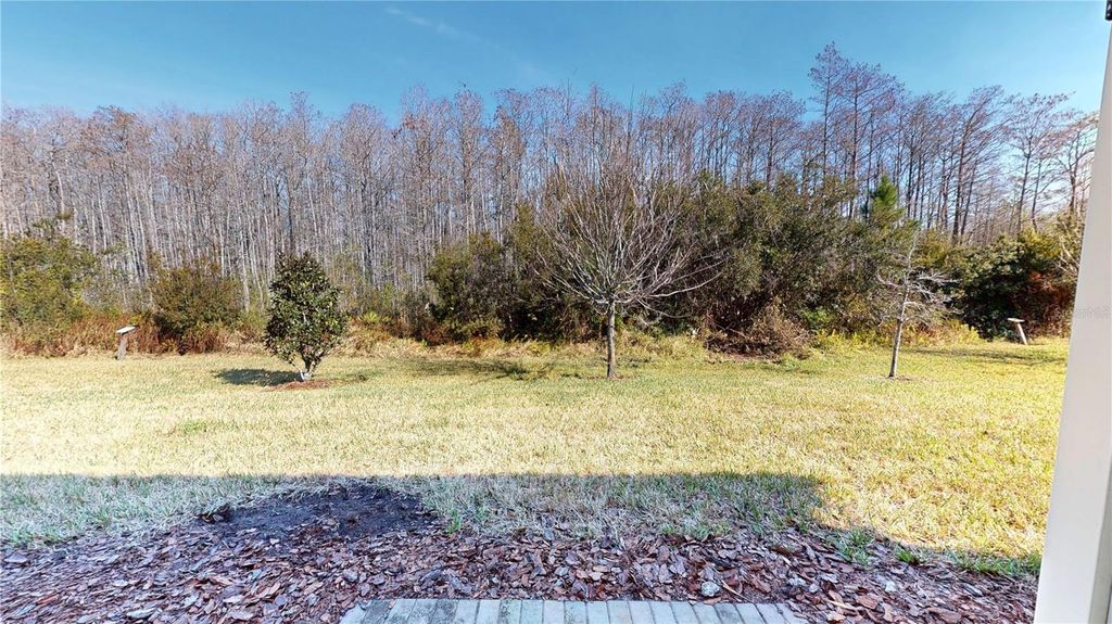 Photo of 2535 Sedge Grass Way, Orlando, FL 32824 (MLS # O6386631)