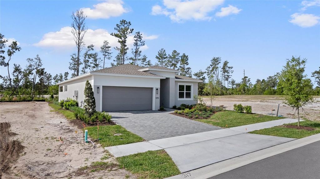 Photo of 1293 Twin Farms Court, Deland, FL 32724 (MLS # W7884833)