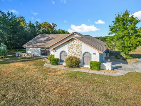 Photo of 1037 E Hartford Street, Hernando, FL 34442 (MLS # OM713701)