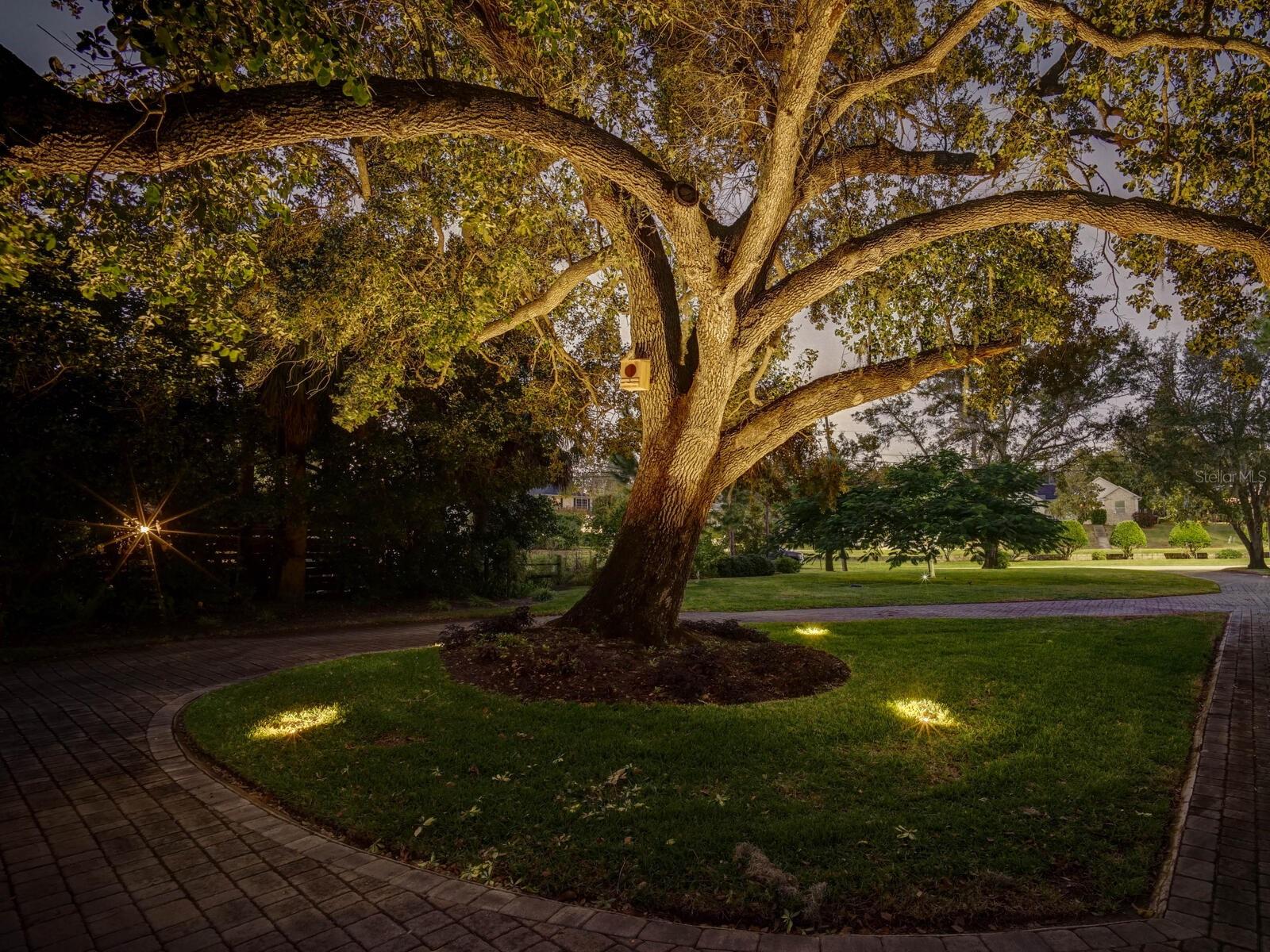 TARPON SPGS OFFICIAL MAP - Residential