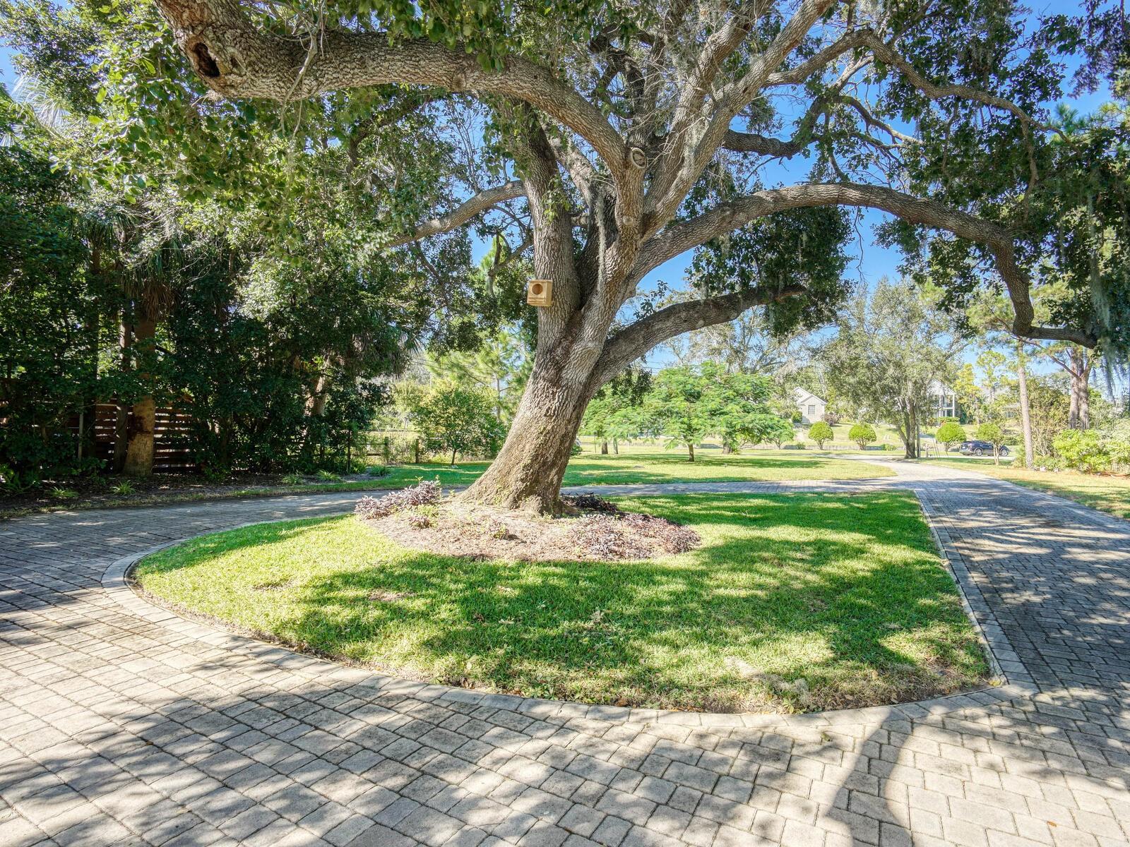 TARPON SPGS OFFICIAL MAP - Residential