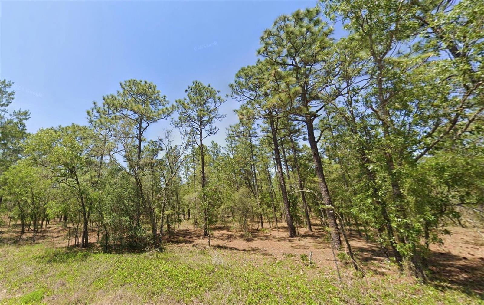 RAINBOW LAKES ESTATES - Land