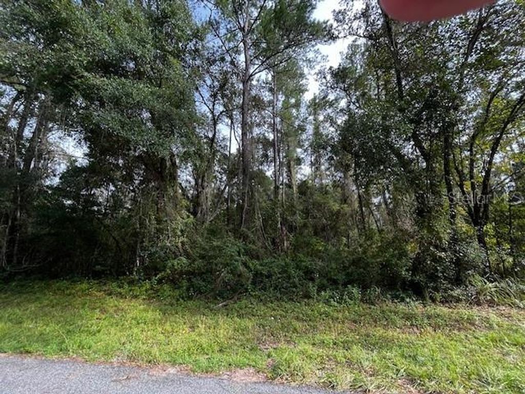 Photo of 552 E Caldwell Drive, Dunnellon, FL 34434 (MLS # O6384149)