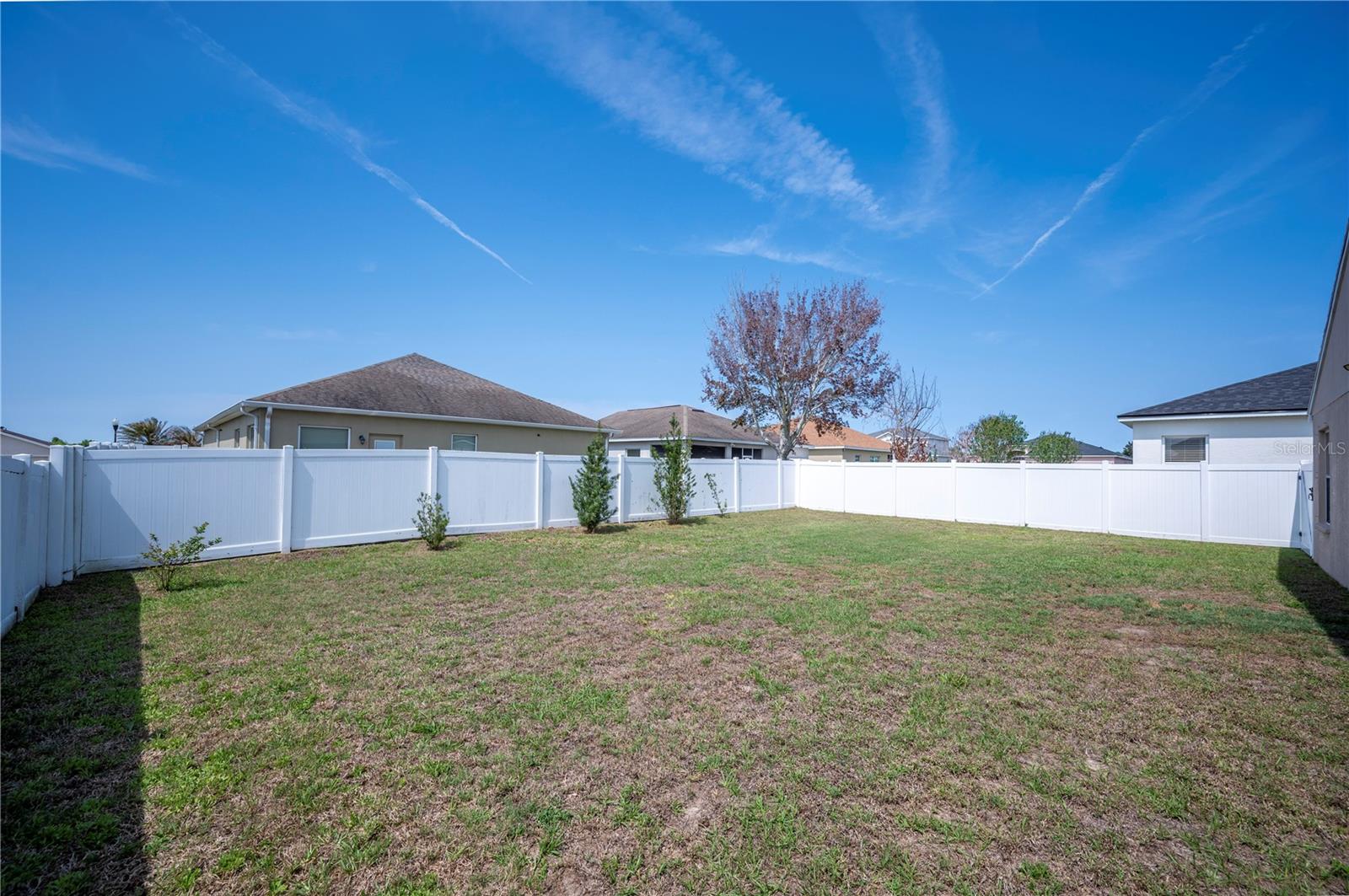 MANDOLIN 02 - Residential