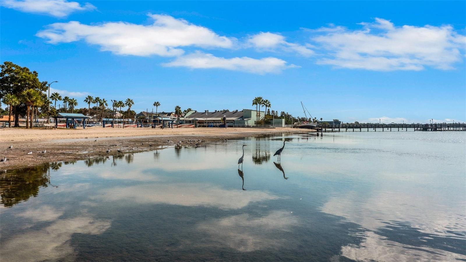 TORRES ADD SUB OF LT 5 - Residential