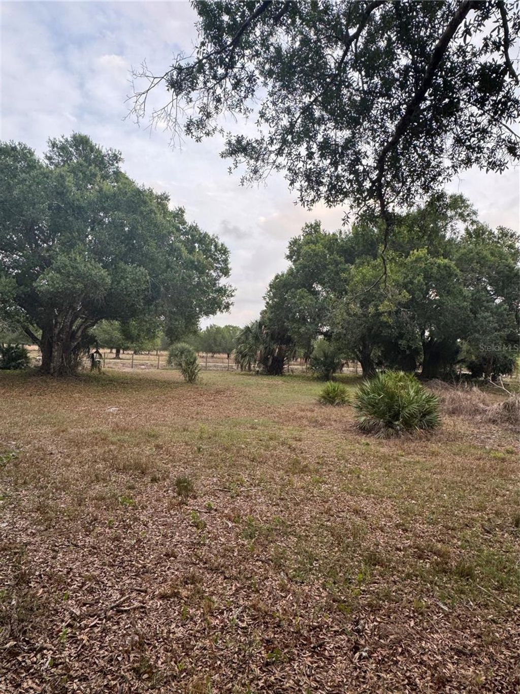 Photo of 10963 SE Shelfer Avenue, Arcadia, FL 34266 (MLS # G5109710)