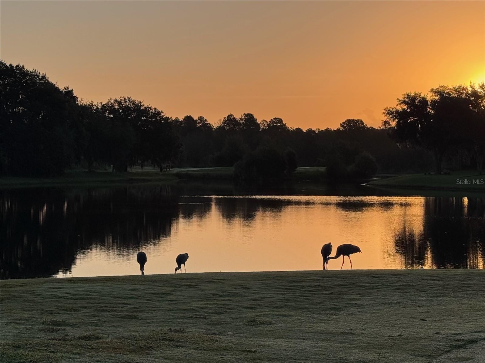 LAKE DIAMOND GOLF & CC PH 03 - Residential Lease