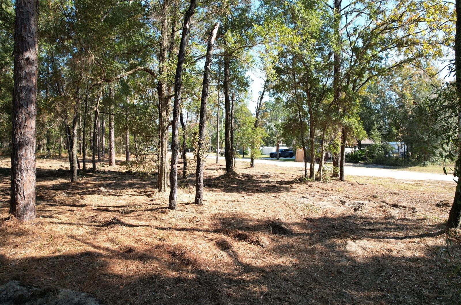 RAINBOW PARK UN 01 - Land