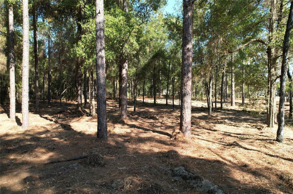 Photo of SW 18th Place, Ocala, FL 34481 (MLS # O6370276)