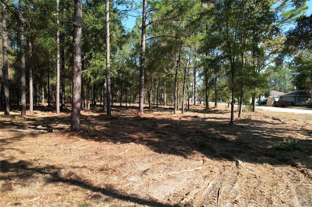 Photo of SW 18th Place, Ocala, FL 34481 (MLS # O6370276)