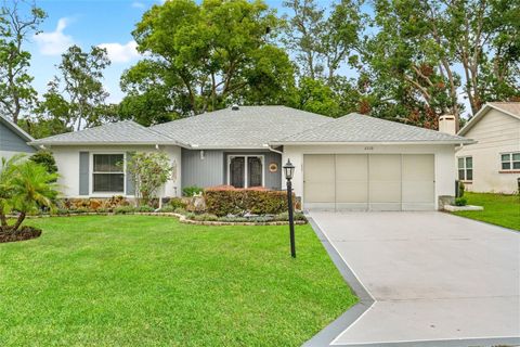 2310 AUGUSTA DRIVE SPRING HILL FL 34606