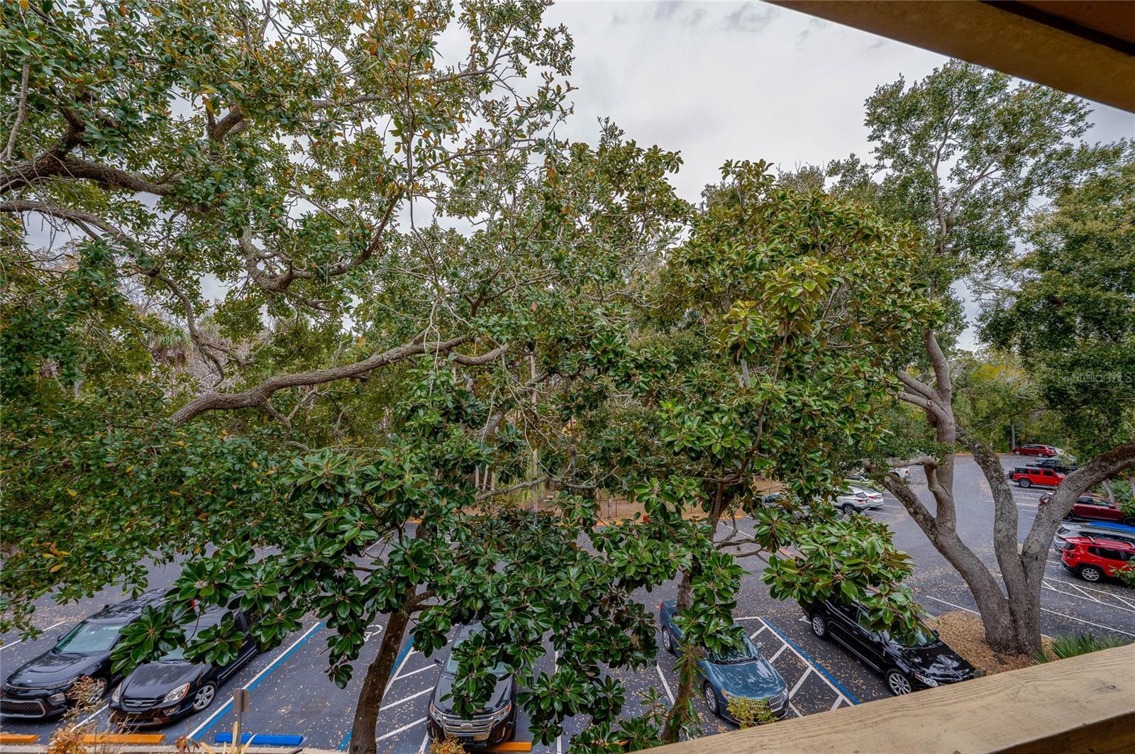 PRESERVE AT RIVERS EDGE - Residential