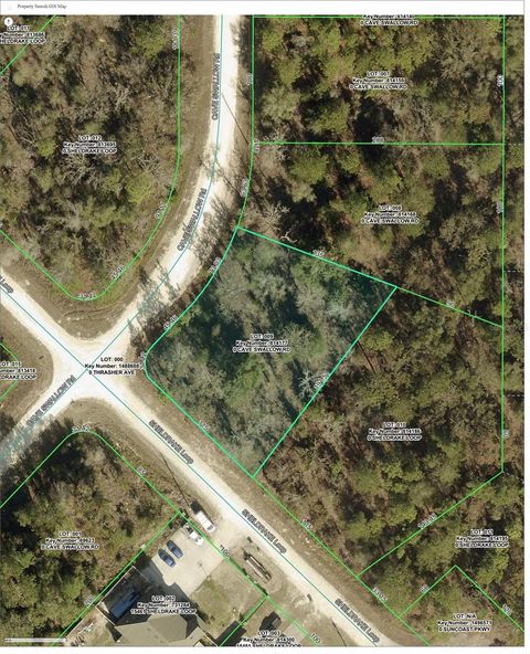 16008 CAVE SWALLOW ROAD BROOKSVILLE FL 34614