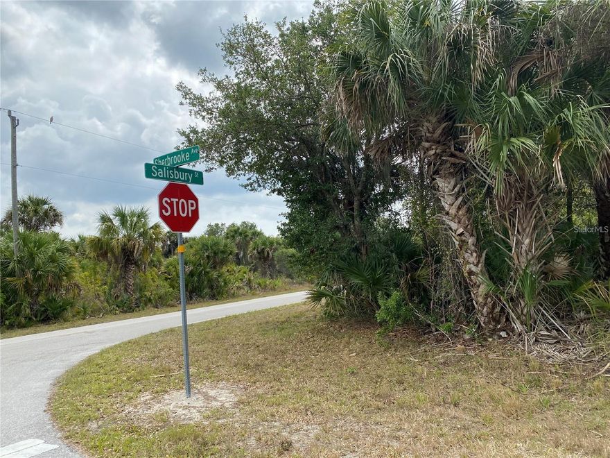 Exceptional opportunity to own a corner residential lot in the growing community of Port Charlotte. Offering approximately 0.23–0.25 acres, this property provides the ideal setting to build your Florida dream home or secure a smart investment in an area seeing continued growth.

Conveniently located on a paved road with electric available, this lot offers flexibility for new construction with plenty of space for your vision. The property is just minutes from US-41, providing easy access to shopping, dining, medical facilities, and everyday conveniences, as well as a short drive to Punta Gorda and local waterfront attractions.

Whether you are a builder, investor, or future homeowner, this parcel offers excellent potential in a quiet residential neighborhood with no waterfront maintenance and room to create your ideal Florida lifestyle.

Don’t miss the chance to secure land in one of Southwest Florida’s most active markets.