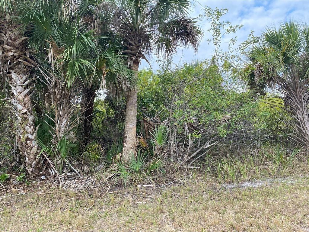 Photo of 19225 Sherbrooke Avenue, Port Charlotte, FL 33954 (MLS # A4683402)