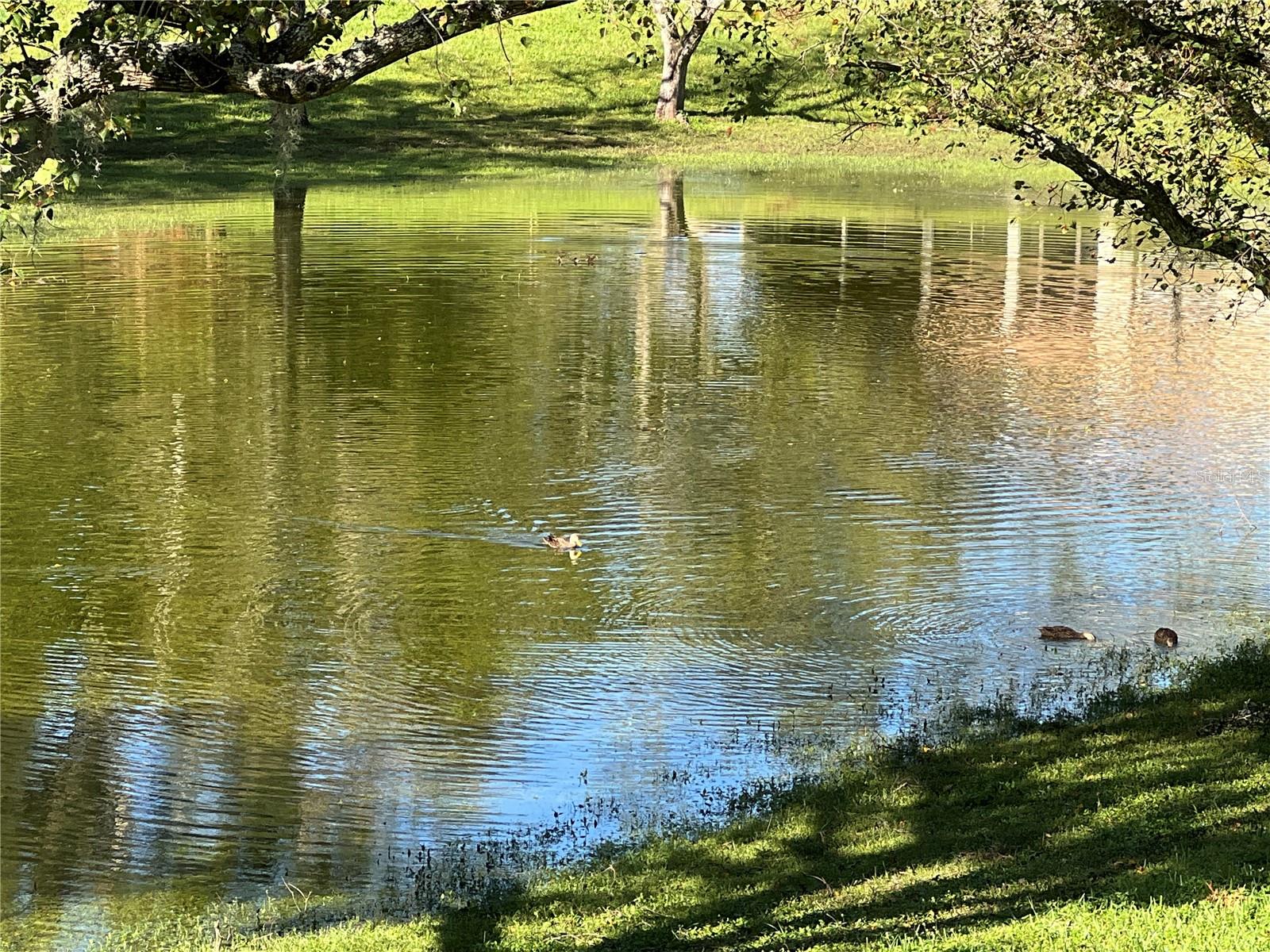 ARBOR COURT FOURTH ADD. - Residential