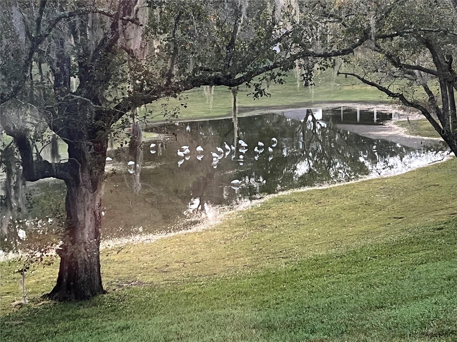 ARBOR COURT FOURTH ADD. - Residential