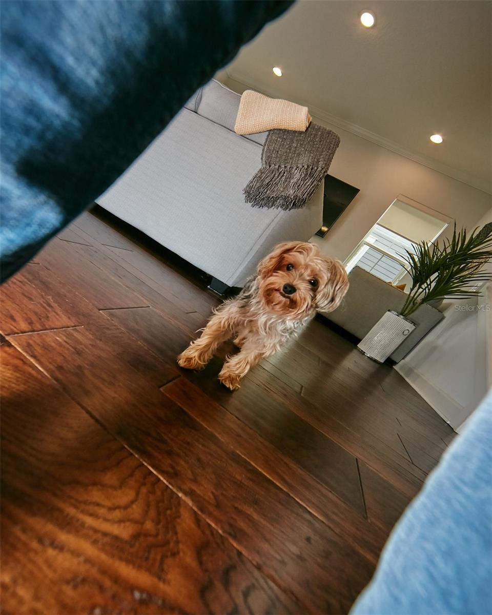 LAUREATE PARK PH 7 - Residential Lease