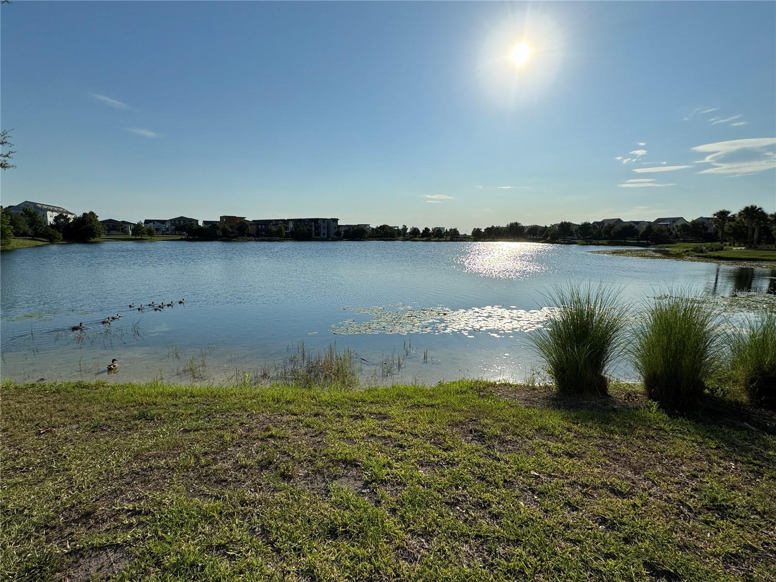 LAUREATE PARK PH 7 - Residential Lease