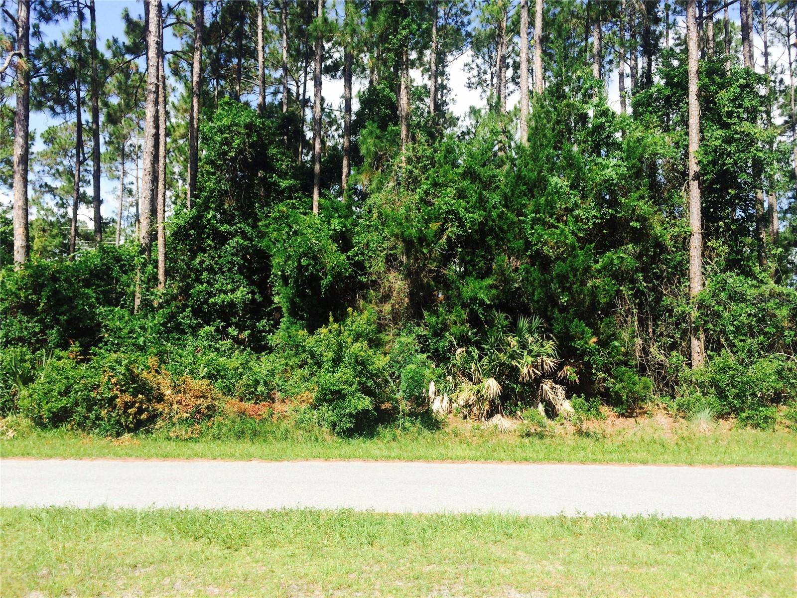 PALM COAST SEC 65 - Land