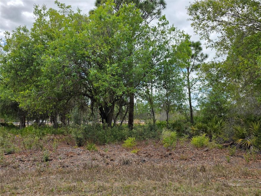 Build your Florida dream. This residential lot offers a prime opportunity to design the home you’ve been planning, a seasonal getaway or full-time residence. The land has already had a survey done and cleared as well, now all you need to do is build to suite!