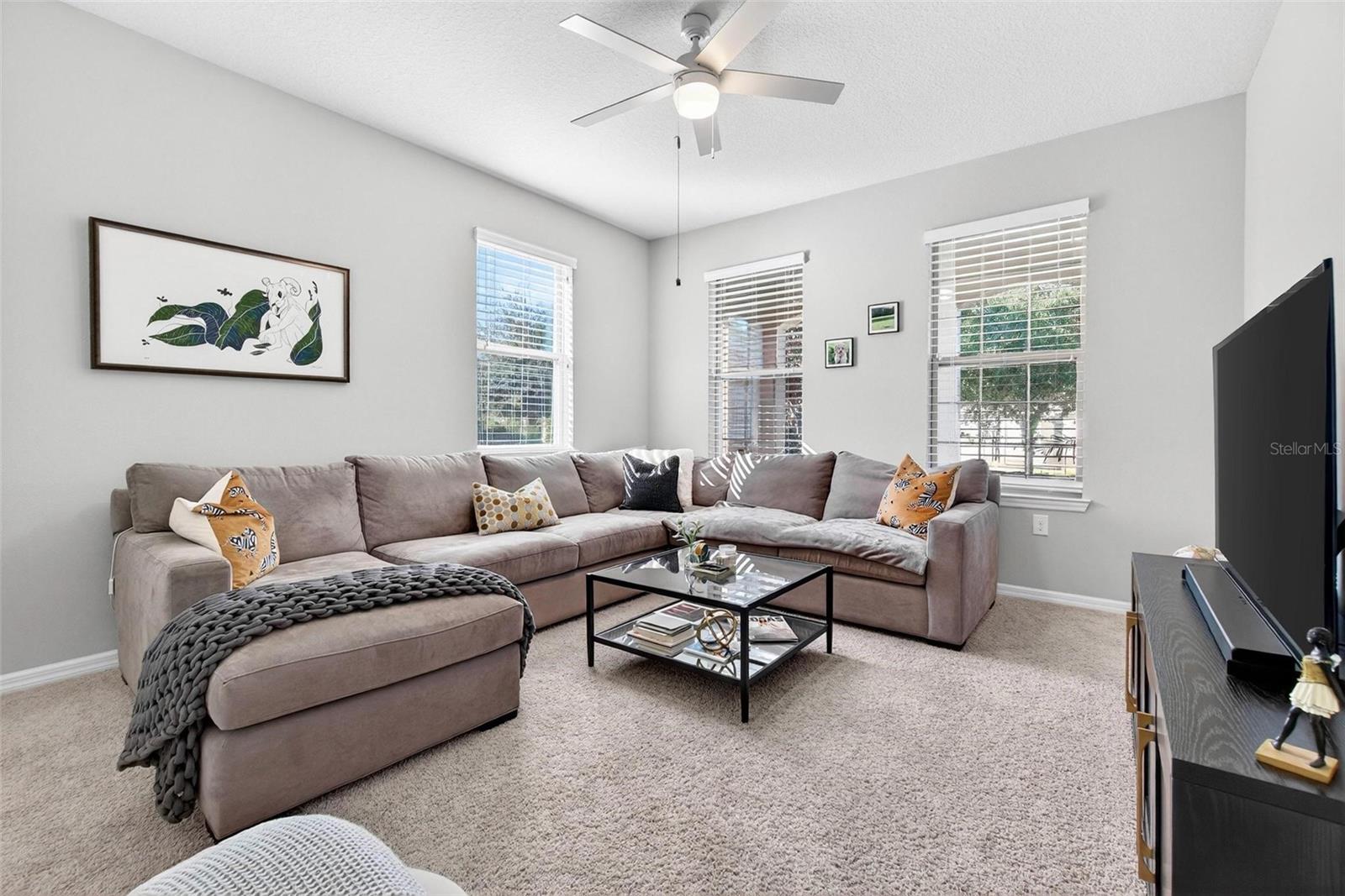 BIRCHWOOD PRESERVE SOUTH - Residential