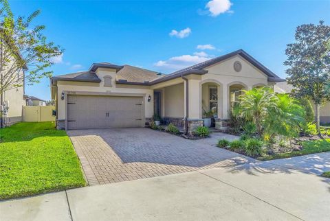 Photo of 18744 Birchwood Groves Drive, Lutz, FL 33558 (MLS # TB8509220)