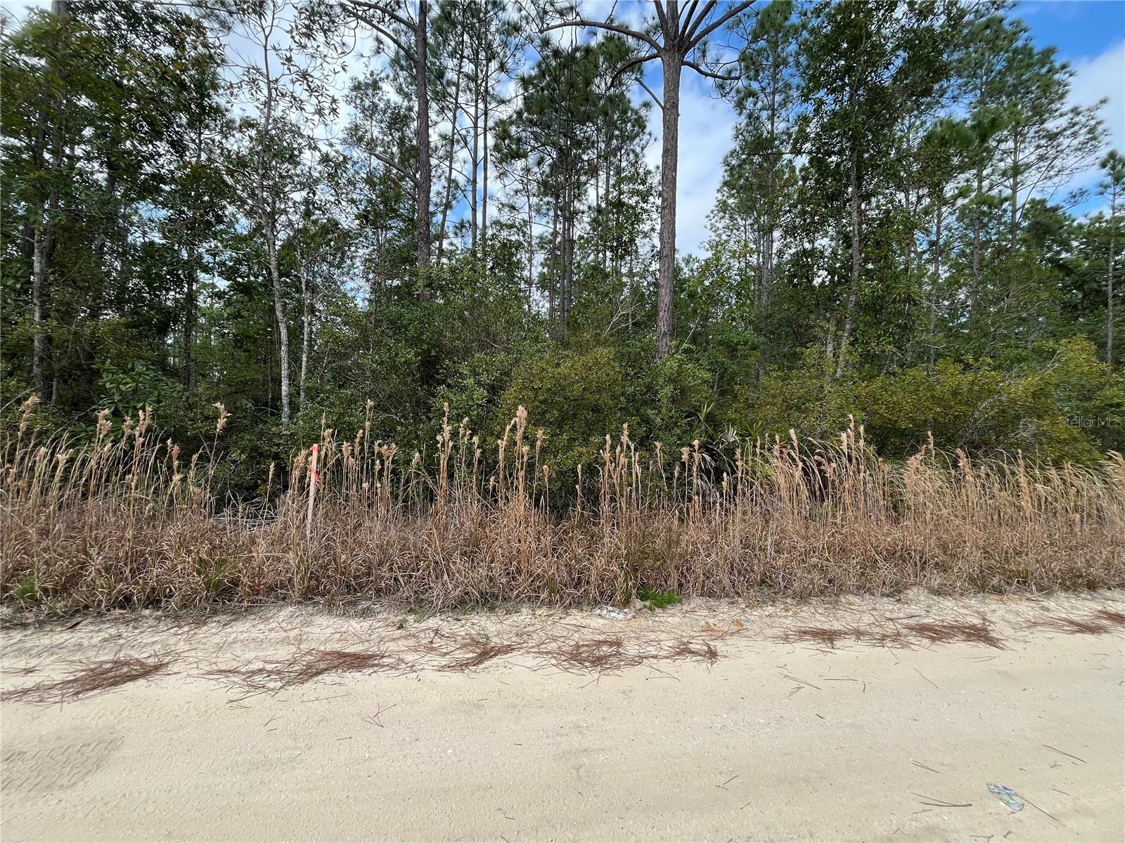 INTERLACHEN LAKES ESTATES - Land