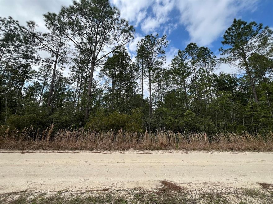 Owner Financing Available – Just $1,500 Down! Take advantage of this affordable 0.22-acre lot in the growing community of Interlachen, FL. With power lines already in place, it's ready for your future build. Zoning allows for site-built homes, manufactured homes, mobile homes, tiny homes, and barndominiums—giving you the freedom to create the living space you want. Located minutes from schools, parks, restaurants, and shops, with easy access to Gainesville, Palatka, and Florida’s beaches. Whether you're building, investing, or planning a getaway, this lot offers flexibility, convenience, and long-term value.