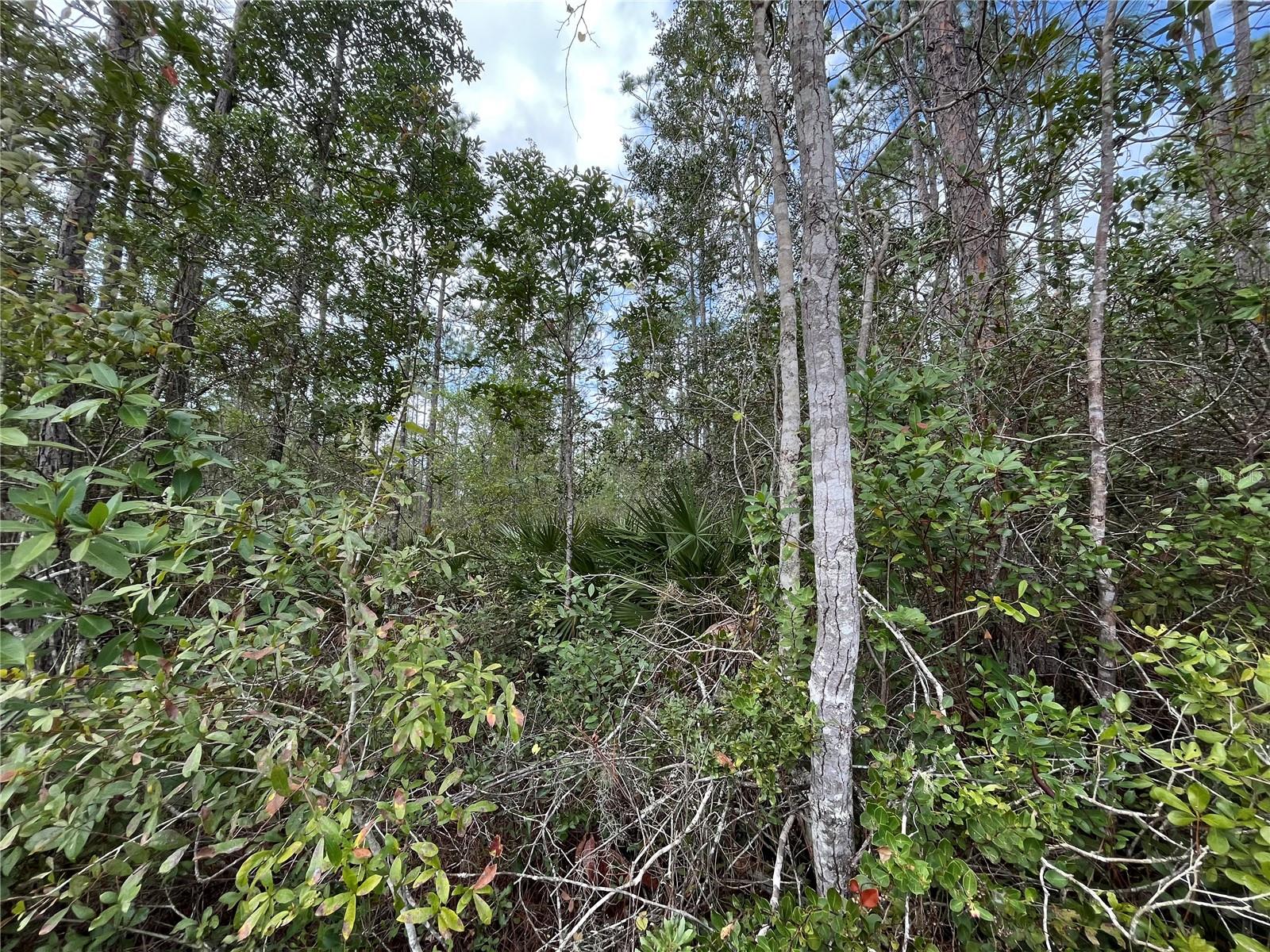 INTERLACHEN LAKES ESTATES - Land