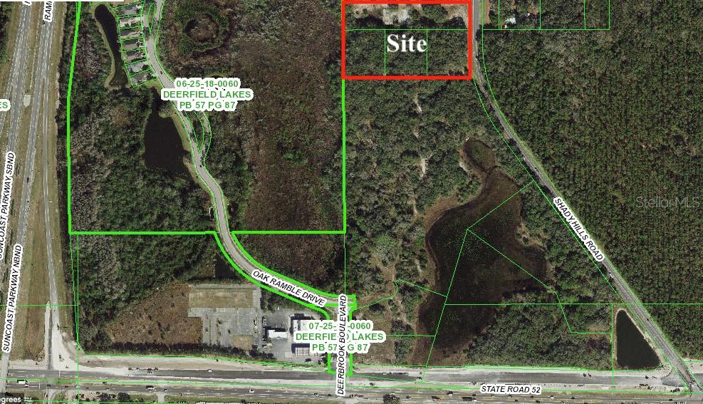 12231 SHADY HILLS ROAD