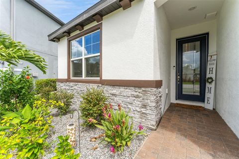 A home in WESLEY CHAPEL