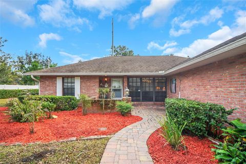 A home in MOUNT DORA