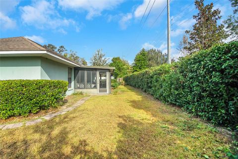 A home in MOUNT DORA