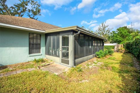 A home in MOUNT DORA