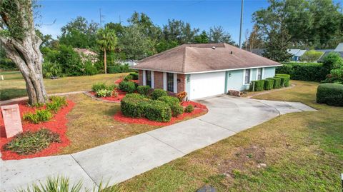 A home in MOUNT DORA