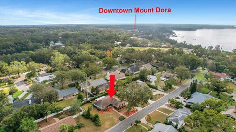 A home in MOUNT DORA