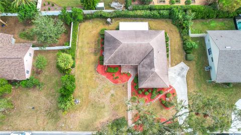 A home in MOUNT DORA