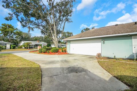 A home in MOUNT DORA