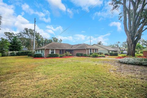 A home in MOUNT DORA