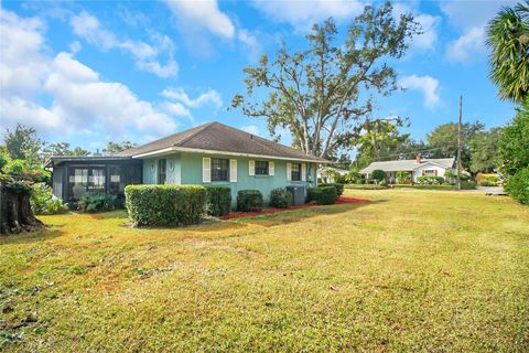 A home in MOUNT DORA