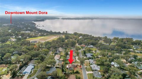 A home in MOUNT DORA