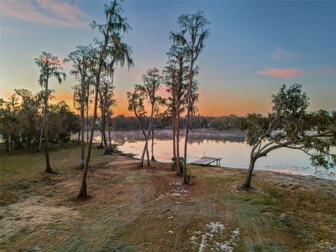 Photo of 16429 Indian Mound Road, Tampa, FL 33613 (MLS # TB8460804)