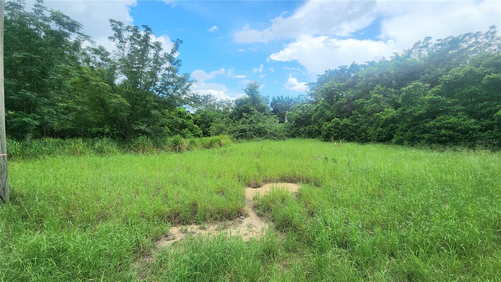 225 HICKORY HAMMOCK ROAD