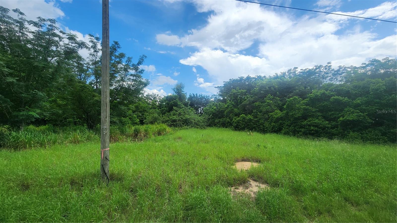 3.75 Acres in Growing Lake Wales, FL. Minutes from Bok Tower & Eagle Ridge Mall!
Enjoy the best of both worlds with peaceful rural surroundings;From close proximity to shopping, dining, fishing and top attractions. This spacious parcel offers lots of potential with no HOA, making it perfect for your dream home or long-term investment. Located in a fast-growing area of Polk County, this is a prime opportunity to own land in the beautiful City of Lake Wales!