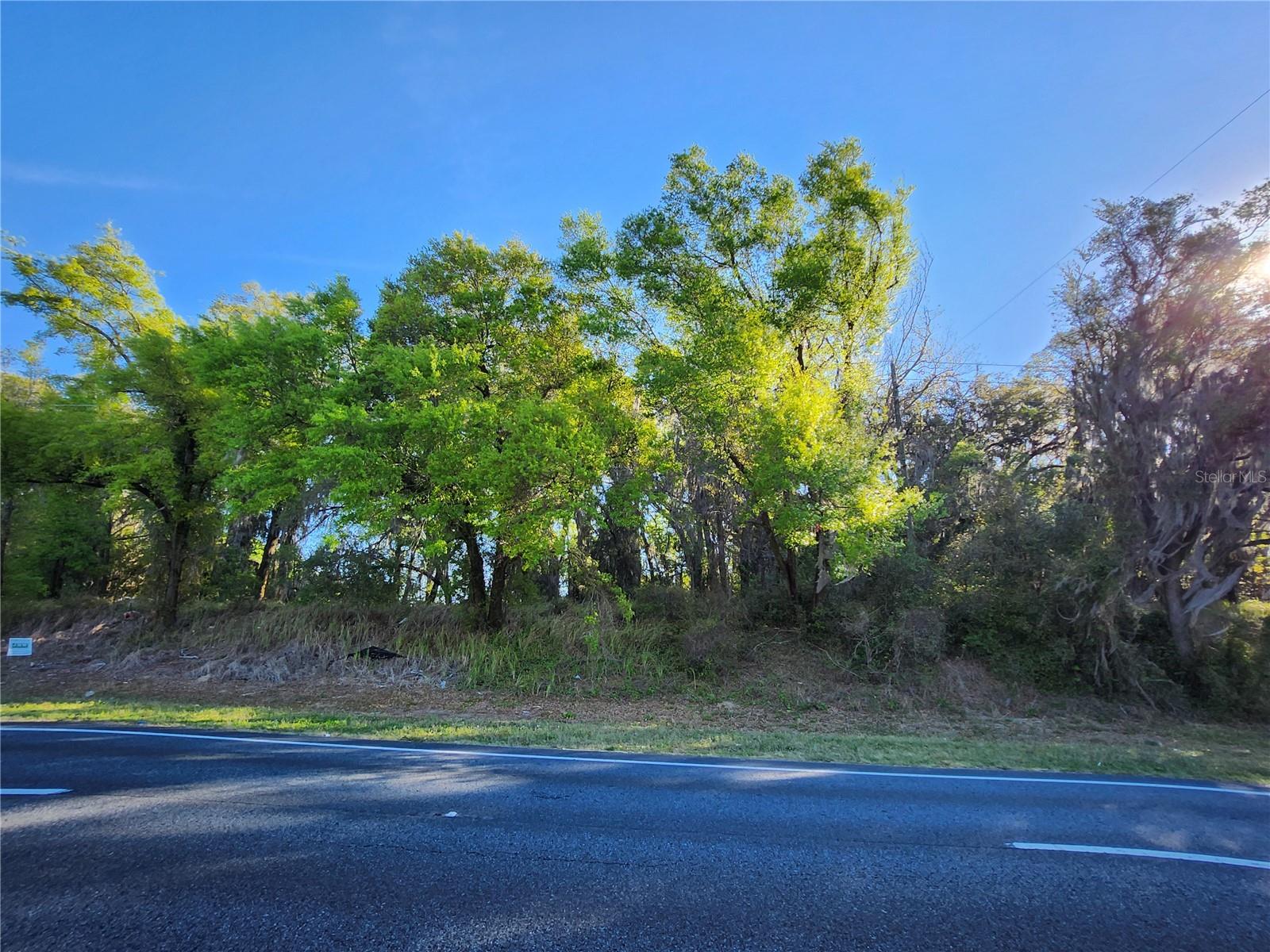 Awesome location. Super traffic area. Great for business. Lots of traffic (50K plus cars daily). Lot sits high. Lots of potential. US Hwy 441/27.