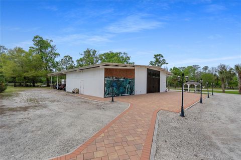 Tiny photo for 13910 Corkwood Lane, Astatula, FL 34705 (MLS # O6393542)