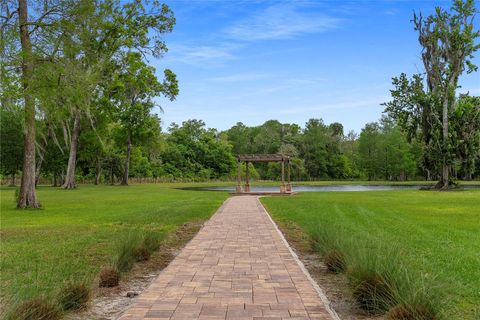 Tiny photo for 13910 Corkwood Lane, Astatula, FL 34705 (MLS # O6393542)